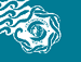 flags/Seattle.gif