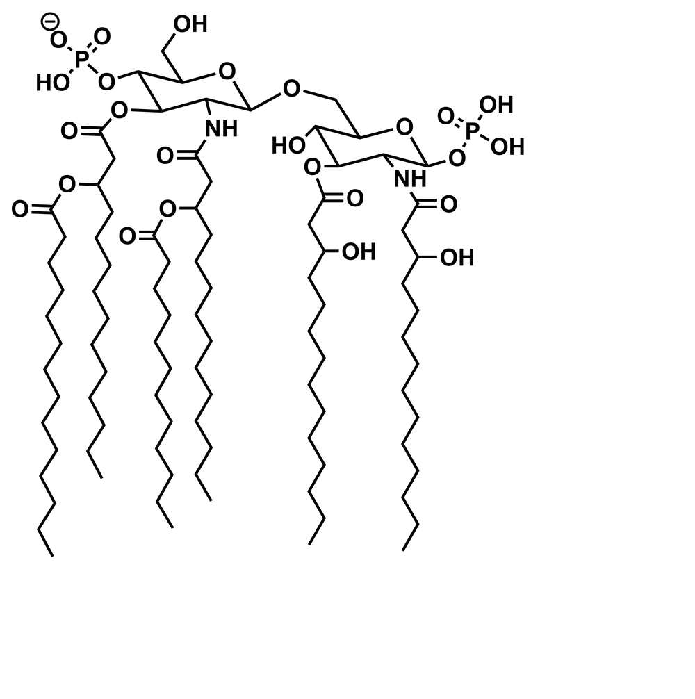 Chemical structure of lipid A: two linked glucosamine sugars, each with a phosphate, carrying six fatty acid chains